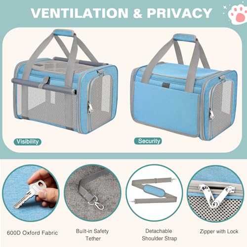 Cat Carrier Top Load, Privacy Curtains Soft Pet Travel Bag Airline Approved | Collapsible Soft-Sided Cat/Dog/Pet Carrier for Small Cats Dogs Puppy Under 16 lb, Washable Kitten Mesh Cage (16.9x10.8x10.8) - color: Sky Blue