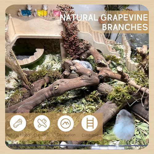 kathson 2Pcs Wood Hamster Climbing Branches Decor, Natural Wooden Syrian Hamster Climb Chewing Toys, Rat Exercise Toys, Small Animal Habitat Decor Accessories for Dwarf Pets, Mice, Gerbils - size: 9.8in