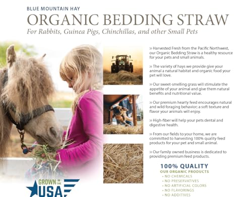Organic Bedding Straw for Pets, Garden, Compost Use, 10lb | Soft Absorbent Bedding, Pet Habitats, Nesting Use, Garden Mulch, Composting Support, USDA Organic, Non-Gmo, Chemical Free - size: 10lb