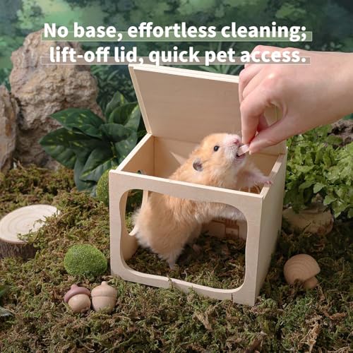 Marchul Magnetic Hamster Hideout Wooden House Chamber for Small Animals Pets Tunnel Exploring Toys for Dwarf Hamsters, Syrian, Gerbils, Hedgehogs, Rats, Mice (Living Room)
