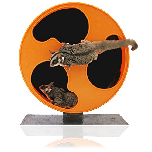 Silent Runner 12" Regular Wheel + Autoclean Track + Cage Attachment - Pet Exercise Wheel Package Set - for Sugar Gliders, Female Rats, Hamsters, Mice and Other Small Pets