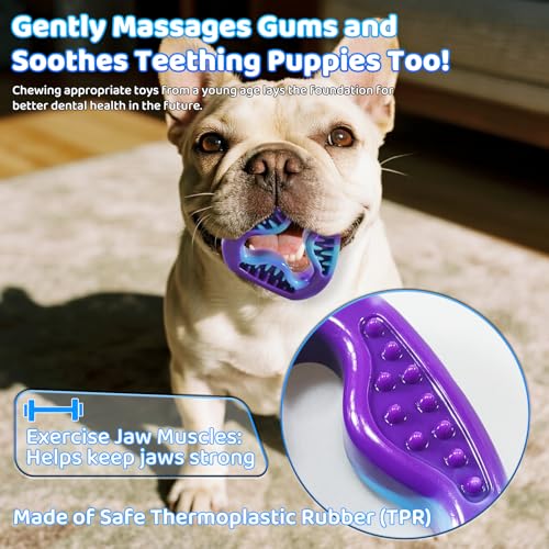 3PCS Puppy Teething Toys for Puppies & Small Adult Dog Up to 25 lbs | TPR Puppy Chew Toys, Three Shapes of Small Stuffable Puppy Toys, Extended Playtime & Clean Pet Teeth
