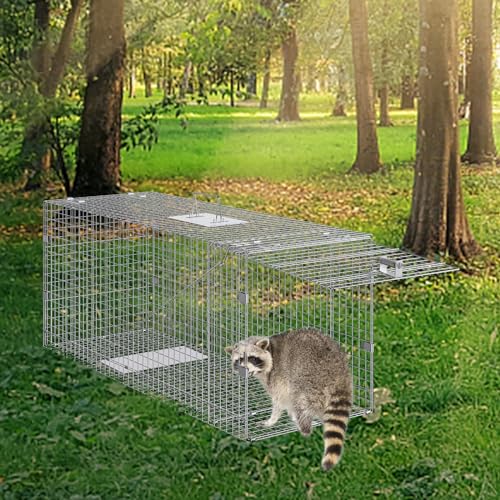 VEVOR Humane Live Animal Trap, Dimensions 50" x 20" x 26" Cage Trap, Crafted from Galvanized Iron, Collapsible Design with Carrying Handle for Capturing Stray Dogs, Armadillos, Raccoons, and Foxes - size: 50" x 20" x 26"