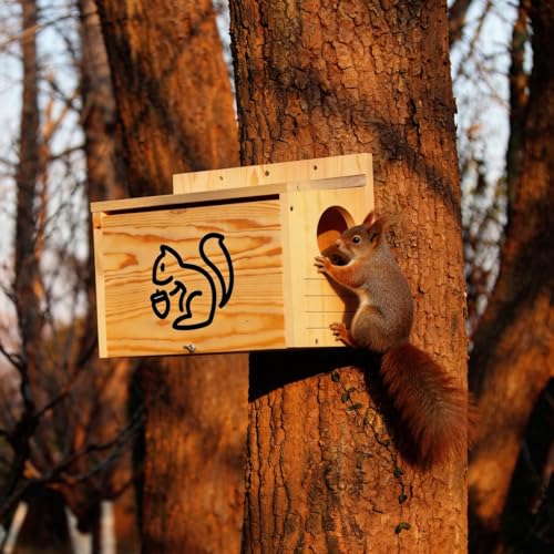 Widened Medium Wooden Squirrel House for Outside | Squirrel Nesting Box, Squirrel Boxes for Outside，Outside Nesting, Chipmunk Houses, Easy Assembly - size: Medium