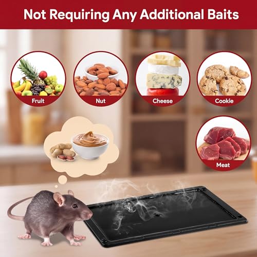 Qualirey 48 Pack Rat Glue Traps 10x5 Inch, Pre-Baited Heavy Duty Mouse Sticky Traps for Mice Snakes Roaches, Large Adhesive Glue Boards with Peanut Scent, No Touch Disposal, Indoor Outdoor (Black) | Catches Mice Snakes Roaches Scorpions Insects, Peanut Sc