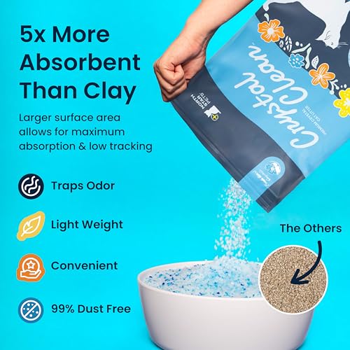 Crystal Clean Premium Fresh Scent Crystal Cat Litter with Odor Control (5X Faster), Best Lightweight, Non Clumping Kitty Litter to Absorb Urine, Dries Solid Waste (2X4.3 Lb Bags) - size: 2X4.3 Lb Bags