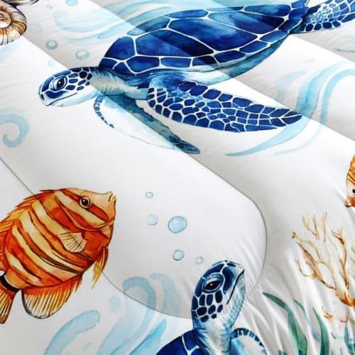 AILONEN Ocean Turtle Seashell Queen Comforter Set, Coastal Animal Bedding Pack with 2 Pillowcases, Master Bedroom - color: Sea10, size: Queen