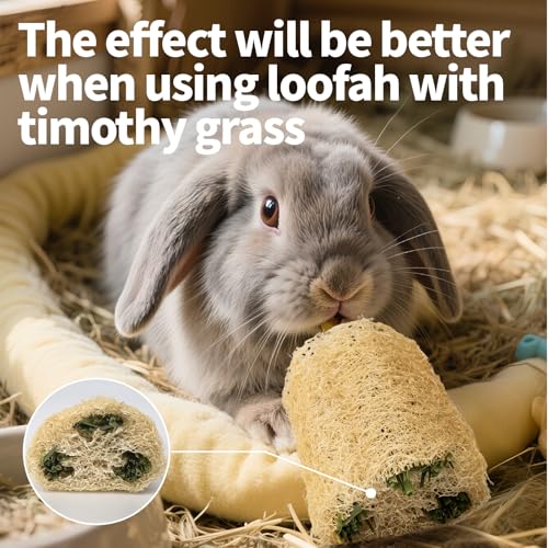 BESNEW Rabbit Chew Toys,100% Natural Loofah Without Additives,Bunny Chew Toys for Teeth,Fiber-Rich Rabbit Treats for Bunny Chinchilla Dogs - style: 1 ps