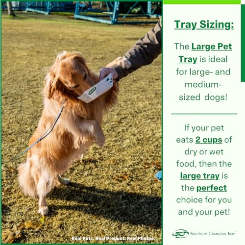 SCT, Large Disposable Pet Food Bowl, 2 Cups (50 Quantity) Dog Food Tray, Travel Pet Bowl, Feeding Cats and Dogs, Wet Food and Dry Food, Two Cups Capacity, 50 Count - size: Large