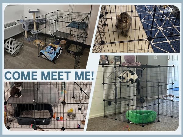 Oneluck 3-Tier Cat Cages Indoor Enclosure DIY Cat Playpen Catio Detachable Metal Wire Kennels Cats Crate Large Extra Exercise Place Ideal for 1 Cat,35.4 Inches - size: 35.4"L x 31.5"W x 35.4"H
