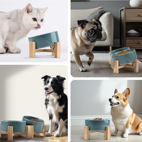 SPUNKYJUNKY 15° Slanted Ceramic Dog and Cat Bowl with Wooden Stand, Tilted Bulldog Food and Water Bowl No Slip Non-Spill for Cats Medium Dogs Big Face Pets 13.5 OZ (1.7 Cups, Light Green × 2) - color: Light Green, size: 1.7 CUPS × 2