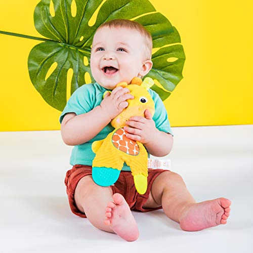 Bright Starts Snuggle & Teethe BPA-Free Crinkle Teething Plush Baby Toy - Giraffe,(Pack of 6) - color: Yellow, size: 1 Count (Pack of 6)