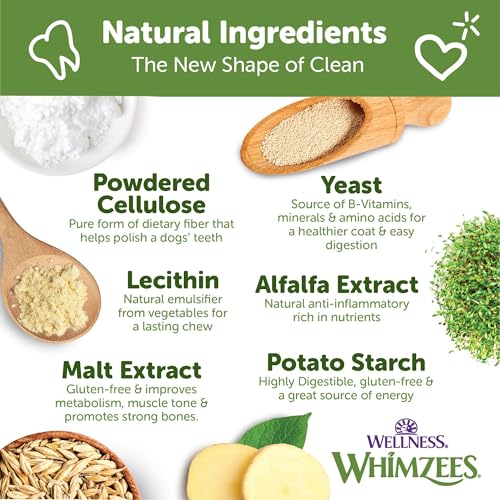 Wellness Whimzees Brushzees Natural Dog Dental Treat, VOHC Accepted Chews, Freshens Breath, Extra-Small Size, 12.7 oz Bag, 48 Count (Pack of 2) - size: 48 Count (Pack of 2)