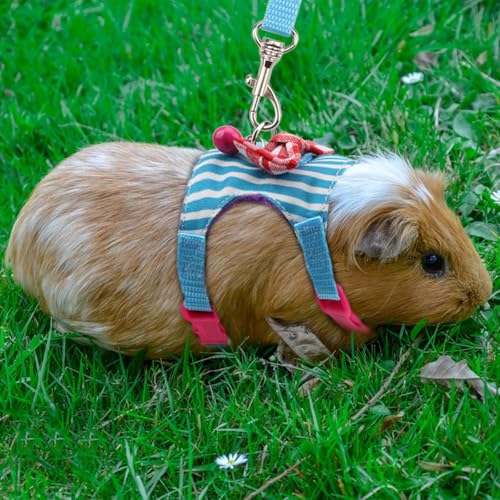 Hypeety Small Animal Harness Vest and Leash Set Soft Mesh Small Pet Harness Hamster Rabbit Chest Back Outdoor Leash Traction Rope for Rabbit Ferret Guinea Pig Kitten Clothes Accessory (M, Blue Stripe) - color: Blue Stripe, size: M