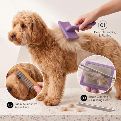 Wooden Long Pin Slicker Brush for Large Dog, Poodles & Doodles Long Hair | Grooming, Fluff & Detangle Heavy Dense Wavy Curly Coats to Easily Prevent Severe Hair Matting During Shedding Seasons - color: Purple