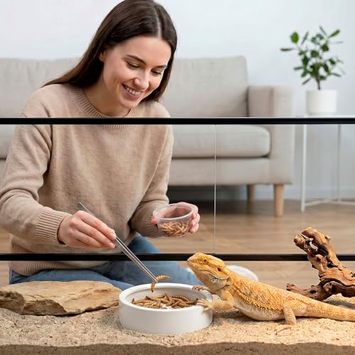 4 Pcs Reptile Bowl Food Dish Reptile Water Food Feeding Dish Ceramic Worm Pet Bowl Anti Escape Feeder for Lizard Anoles Chameleon Bearded Dragon Hermit Crab (4.92 Inch) - size: 4.92 Inch