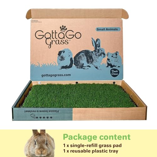Gotta Go Grass for Small Animals – Natural Real Grass Bedding & Pet Resting Pad, Grass Potty Pad for Rabbits, Guinea Pigs, Hamsters, and Small Pets, Odor Absorbent Grass Mat (With Tray 16" x 24") - size: With Tray 1- Pack