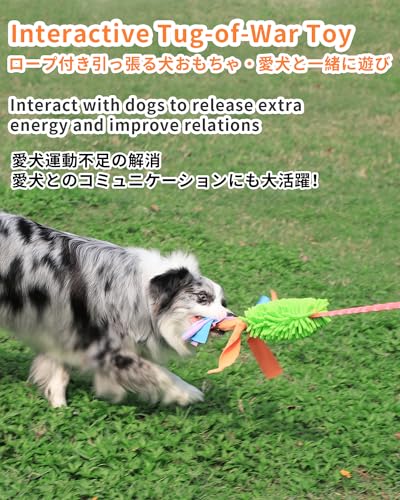 SCHITEC Tug Toy for Dogs, Bungee Tug of War Rope Toys with Squeaky Sound for Small Medium Large Dog, Puppy Training Pull Toy for Exercise & Interactive Play Games - style: Chenille+Long Handle