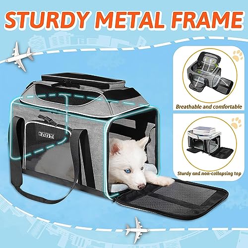Top-Expandable Small Pet Carrier 17"x12"x8.5" Airline Approved | for JetBlue/Frontier/Spirit Airlines, Lockable Safety Zippers and Anti-Scratch Mesh, Soft-Sided, Pets Under 8 Lbs, Grey - color: Grey, size: 17.0"L x 12.0"W x 8.5"H
