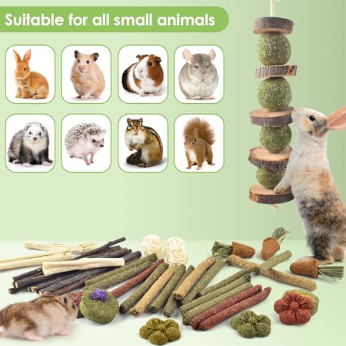 ERKOON 42PCS Rabbit Chew Toys, Natural Timothy Grass Cakes Guinea Pig Toys, Small Animal Teeth Grinding Treats for Bunny Hamster Chinchilla, Safe Dental Care Snacks - size: 42