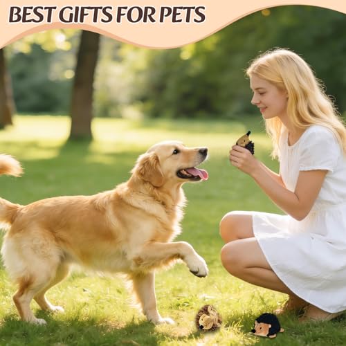 2-in-1 No-Stuffing Hedgehog Dog Toys 5PCS, Squeaky Ball for Throwing Play | Interactive Chewing Toys for Medium and Small Pets, Durable Plush for Companion, Keep Puppy Busy, Holiday Gift - style: Hedgehog 5pack