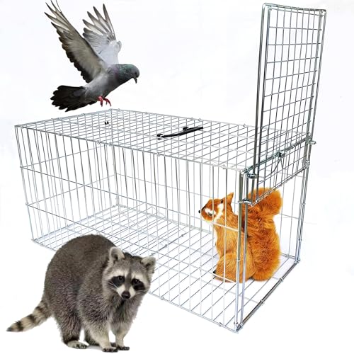 Animal Trap Cage Pigeon Squirrel Racoon Outside Trapping Live Small Animal Bird Trap Cage - size: 23.6"*11.8"*11.8"/Medium