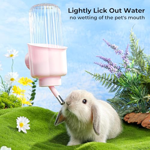 mini&moe Guinea Pig Water Bottle No Drip - 17oz Rabbit Water Dispenser for Cage Crate BPA Free for Syrian Dwarf Hamster Bunny Gerbils Chinchilla Ferret Squirrel Small Animal