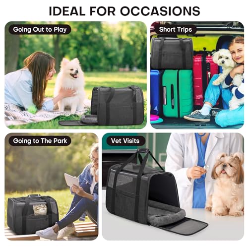 JUNGYOUN Premium Cat Carrier - Pet Carrier for Cat & Small Dogs up to 15lbs - Airline Approved Travel Dog Carrier with Anti-Escape Zippers, Collapsible Travel Bowl & Padded Strap - color: Dark Grey, size: 18.0"L x 12.5"W x 14.0"H