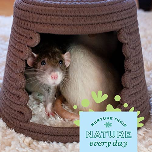 Oxbow Enriched Life Cozy Cave, Large, Guinea Pig Hideout, Bunny Hideaway, Rabbit Bed, Polar Fleece Small Animal Hideout for Guinea Pig Cage, Bunny Enrichment, Rat & Chinchilla Habitat Accessory | Small Animal Hideout, Fleece, Snuggle Sack, Guinea Pig Hous