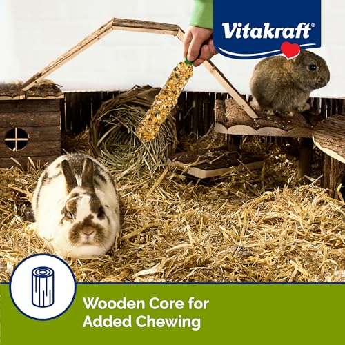 Vitakraft Crunch Sticks Rabbit Treat Wild Berry and Honey Flavor with Natural Grains and Honey Enriched with Essential Nutrients Baked on Wooden Stick to Encourage Chewing and Long Lasting Enjoyment