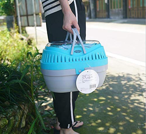 Big Hamster Cage Portable Carrier Hamster Carry Case Cage (Blue Green Color May ramdom)