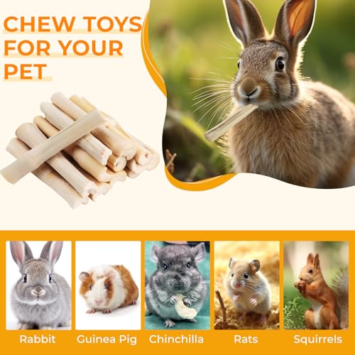 300g Sweet Bamboo Chew Toy Natural Sweet Bamboo Animals | Molar Chew Sticks Toys for Small Pets, Snacks Bamboo Sticks Treats for Chinchillas Hamsters Squirrels Degus - size: 300g