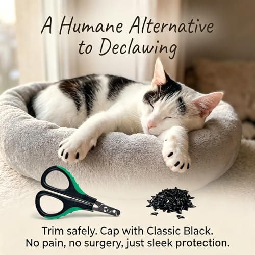 joyous 120pcs Black Kitten Cat Nail Caps Original Factory Set with Cat Nail Clipper-Soft Paws Cat Claw Covers for Indoor Kitty, Anti-Scratch and Protects Furniture & Skin, Cat Nail Covers (M) - size: M