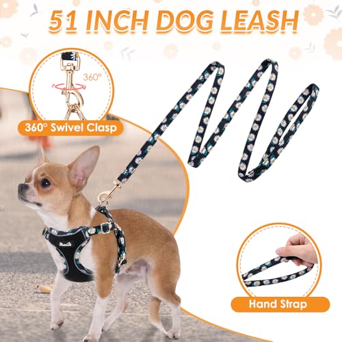 Lukovee Puppy Harness and Leash Set, No Pull Step in Lightweight Mesh Vest | Soft, Reflective, Easy Put on and off, Adjustable, Breathable Air Mesh, with 51in Leash for Walking Hiking (Black, XXS) - color: Black, size: XX-Small (2.2-6 lb)