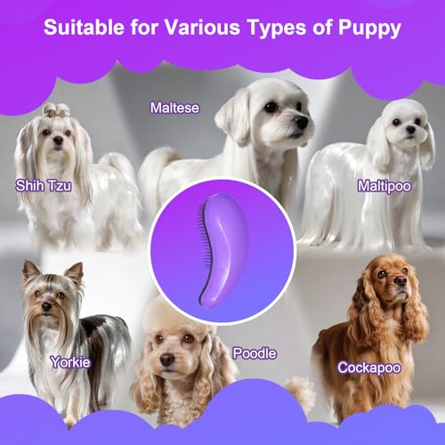 Small Dog Brush, Skin-friendly Soft Bristles (Purple) | Puppy Hair Brush, Massage and Bath Supplies, Pet Grooming Tool for Teddy, Yorkies, Maltese, Shih Tzu, Chihuahua - color: Purple