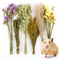 Sukh 42Pcs Hamster Sprays Natural - Sprays & Forage for Small Animals | Chew Herbs for Syrian Dwarf Hamsters & Guinea Pigs, Habitat Dry Flowers Decor, Hideout Enrichment, Cage & Bedding Accessories