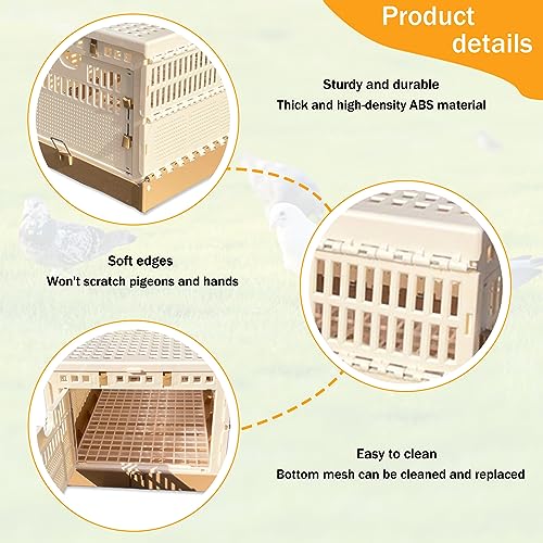 Folding Pigeon Cage Racing Pigeons Travel Cage Pairing Cage Plastic Three Doors Nest Box for Training and Release, Competition(L) - size: L