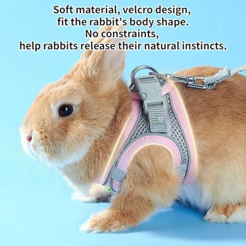 Pet Harness,Rabbit Harness and Leash Set, Breathable Pet Vest, Reflective Strips Jacket for Small Kitten, Puppy, Rabbit (Yellow,M) - color: Yellow, size: M