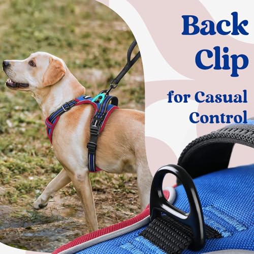 rabbitgoo Dog Harness Small Sized, Updated Easy On & Off with 3 Buckles | No Pull No Choke, Walking with 2 Clips and Handle, Adjustable Soft Reflective, Blue & Red, Small - color: Blue & Red, size: Small