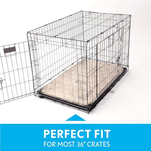 Paw Inspired Washable Padded Crate Mats for Dogs, Beige, 35x22 Inch | Fits 36-inch Kennels, Leakproof, Waterproof Bottom, Plush Dog Pad, Pet Bed - color: Tan, size: 36 Inch