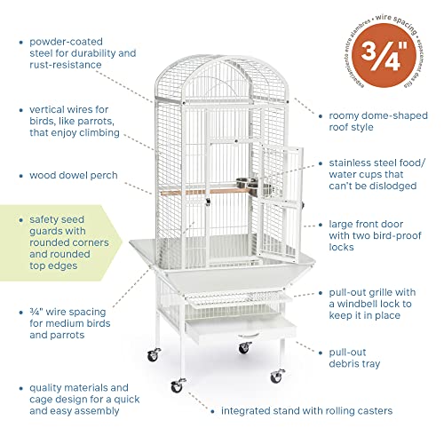 Prevue Pet Products Dome Top Bird Cage with Push Button Locks - Chalk White | Powder‑Coated Steel Cage with Wheels, Seed Guards, and Perch, Ideal for Cockatiels and All Small-Medium Sized Birds
