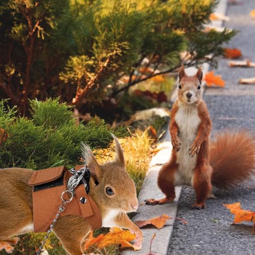 3 Pack Squirrel Harness and Leash Set - Adjustable Soft Leather & Traction Rope Strap Anti-Biting Chainfor Small Pet Walk Jogging Bearded Dragon Reptile Squirrel Rat