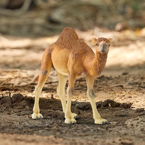 schleich Wild Life - 4" Dromedary Figurine with Realistic Hump - Durable Safari Camel Toy for Tactile Imaginative Play - Desert Animal Figure Educational Toy for Children - Kids Ages 3+ | 14832