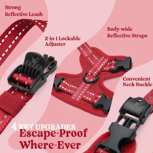 rabbitgoo Cat Harness and Leash, Easy-on with Neck Buckle, Red | Escape Proof, No Over-the-head, Soft Air Mesh, 3 Lockable Adjusters & Buckles, Reflective, for Small to Average Cats Walks, S - color: Red, size: S