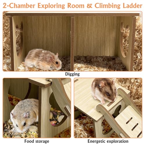 Tfwadmx Wooden Small Animal Hideout & Ramp - Hamster Tunnel System with Climbing Ladder, Peep Shed and Digging Chambers for Mice, Dwarf Hamsters (Small)