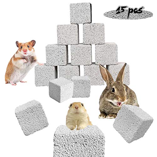 PINVNBY 15 Pcs Rabbits Lava Blocks Bunny Teeth Grinding Stone Small Animal Mineral Calcium Stone Chews Toy for Hamsters,Chinchillas and Parrot - size: 【15 PCS】