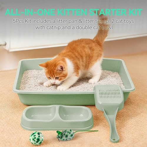 Pawise Newborn Small Cat Litter Box Kit for Kittens – 5‑Piece Kit with Shallow Cat Litter Pan, Feeding Bowls, Scooper, Kitten Starter Kit Mouse Toy, 14.5x10.5 Inches, Green - color: green