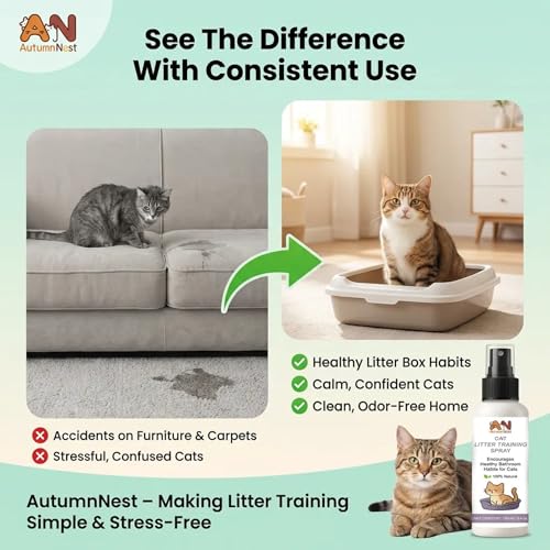 Cat Litter Training Spray, 2 Pack, 300ml Litter Box Attractant Spray | 2-pack attractant helps guide cats and kittens to the litter box during training, retraining, and new-home transitions. - color: 2 pack Cat Litter Training