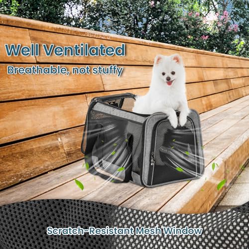 PETSFIT Large Cat Car Carrier,19 x 12 x 12 | Roomy Escape-Proof Cat Car Seat, Safe Driving, Lockable Zippers & Safety Tether, Soft-Sided Travel Carrier - color: Z-Gray, size: 19.0"L x 12.0"W x 12.0"H