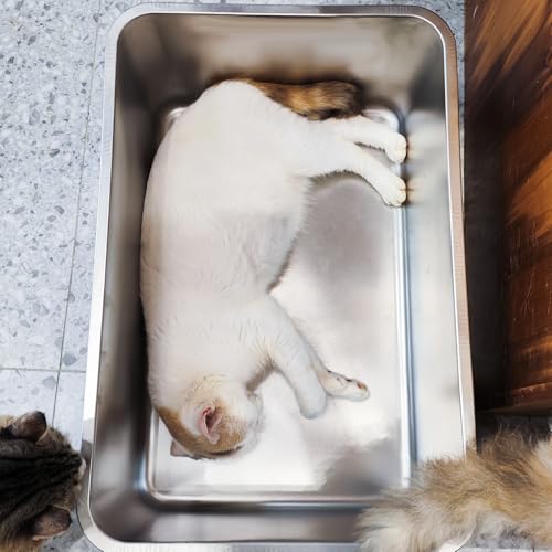 Stainless Steel Cat Litter Box,Extra Large Metal Litter Box,24Lx16x8 in | Extra Large Metal Litter Tray for Big Cats Kitty Rabbits,No Smell,Non Stick,Easy to Clean - color: 8"H, size: 24"L x 16"W